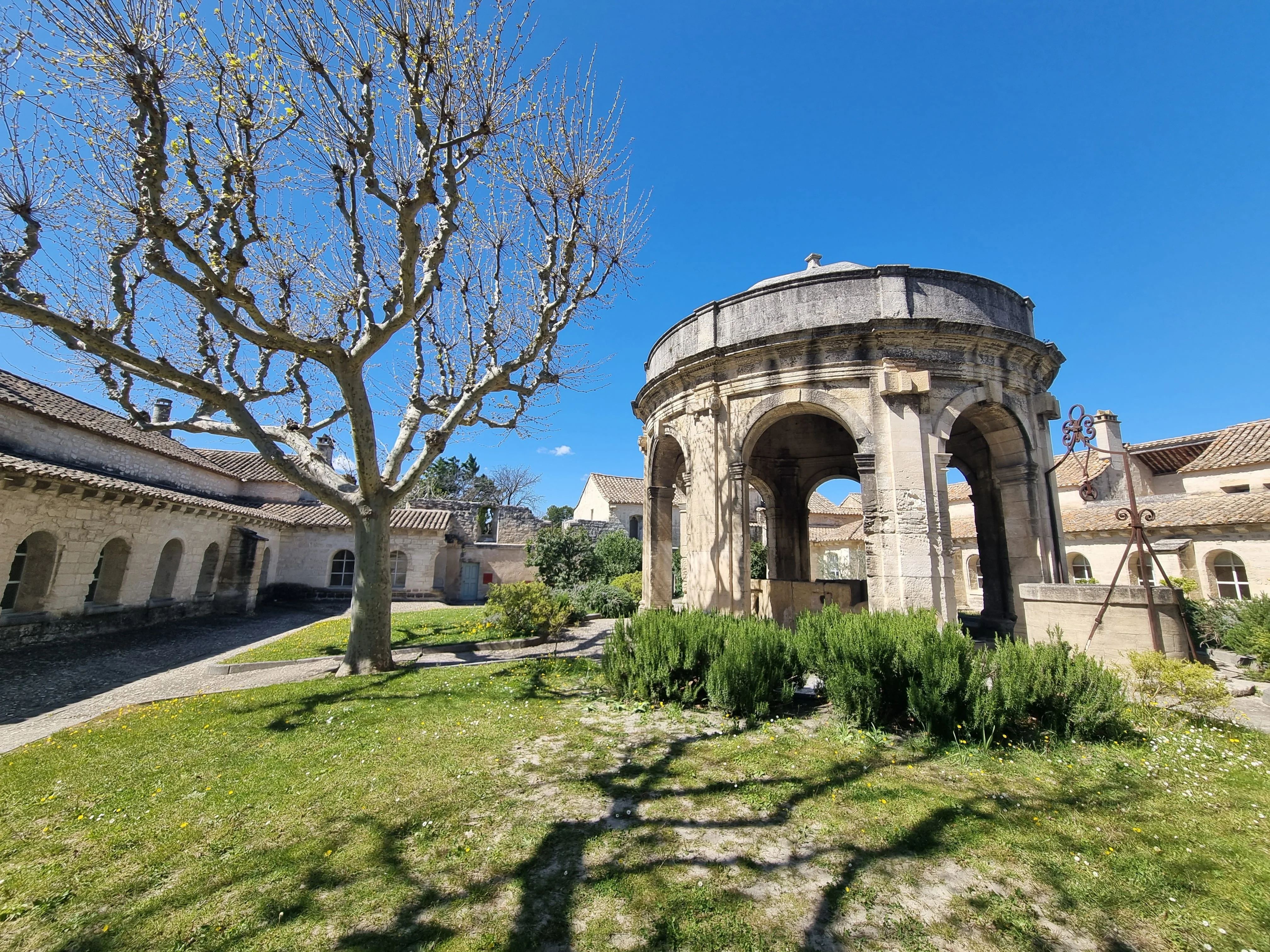 Chartreuse avignon 1 