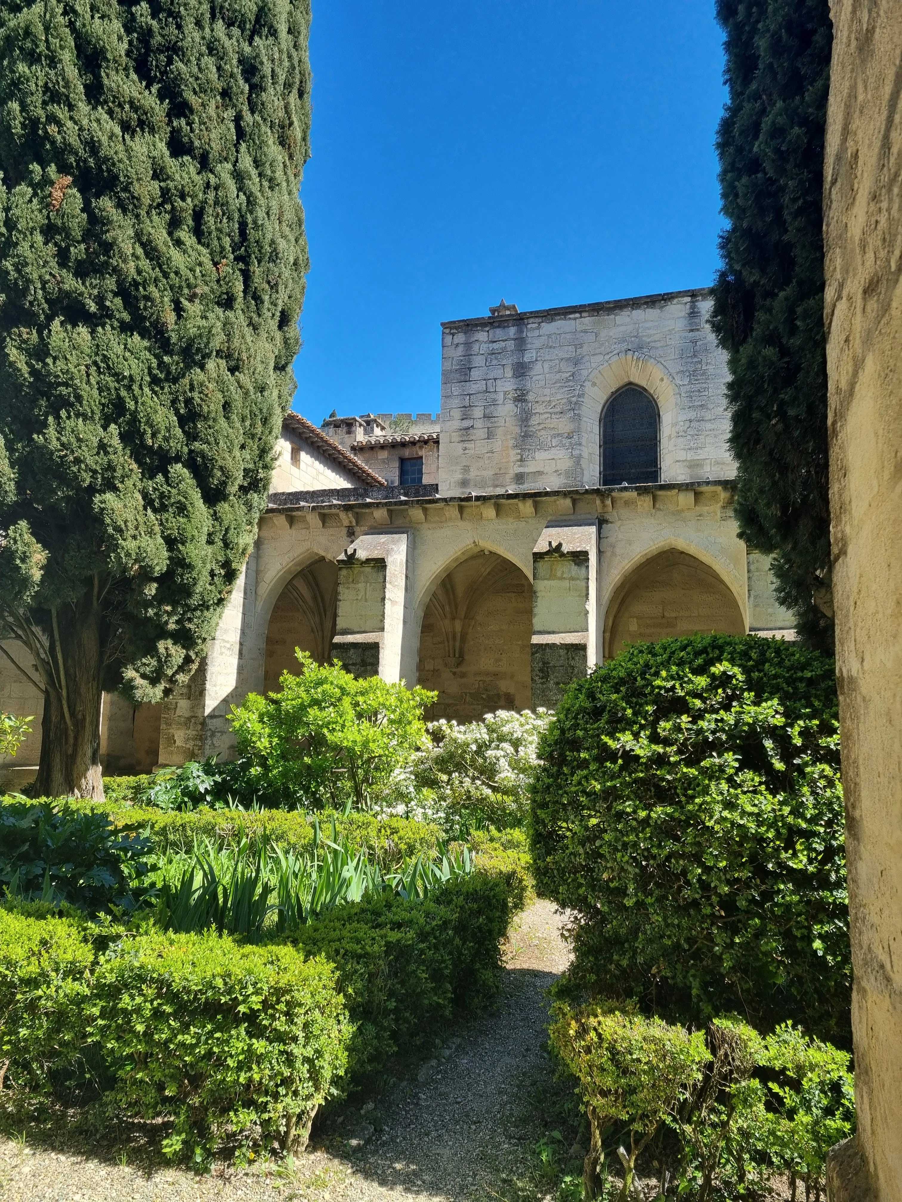 Chartreuse avignon 11 