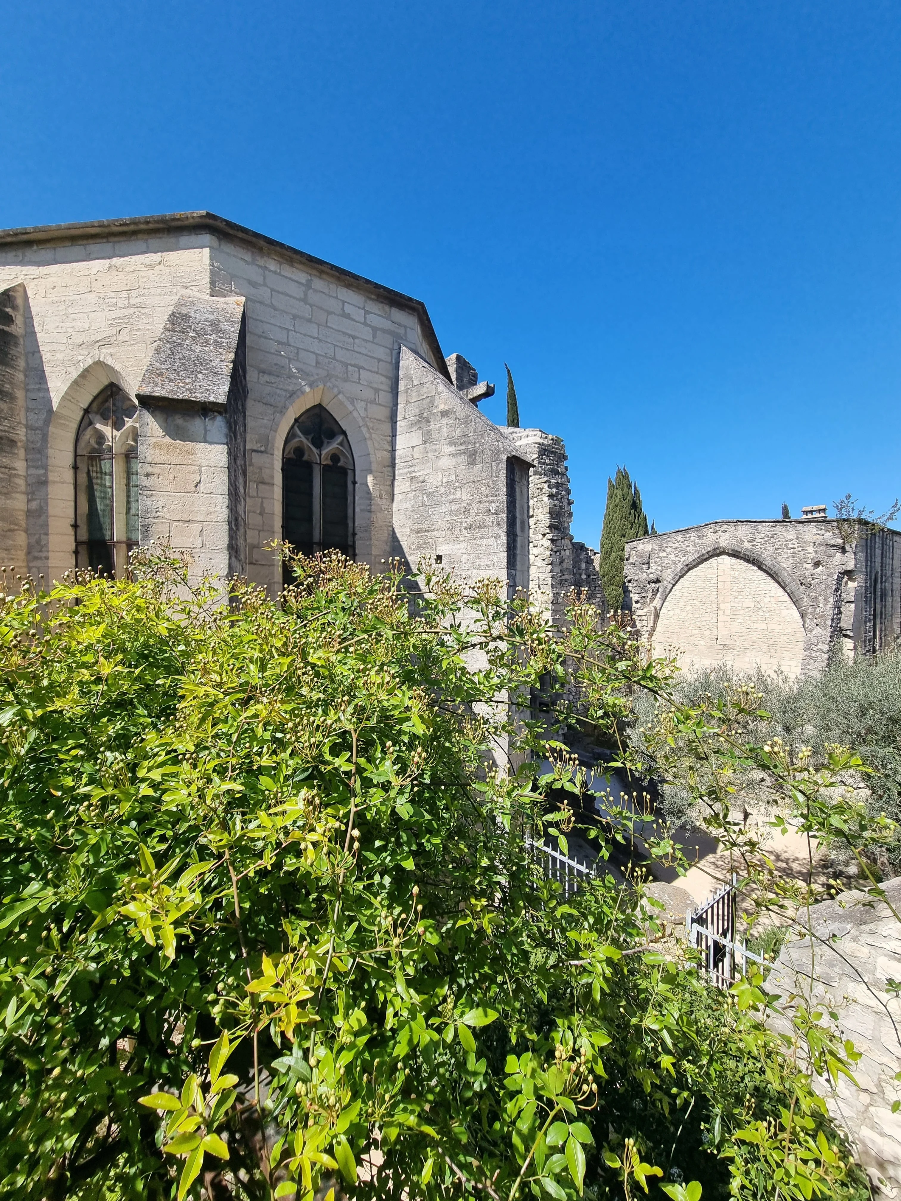 Chartreuse avignon 12 