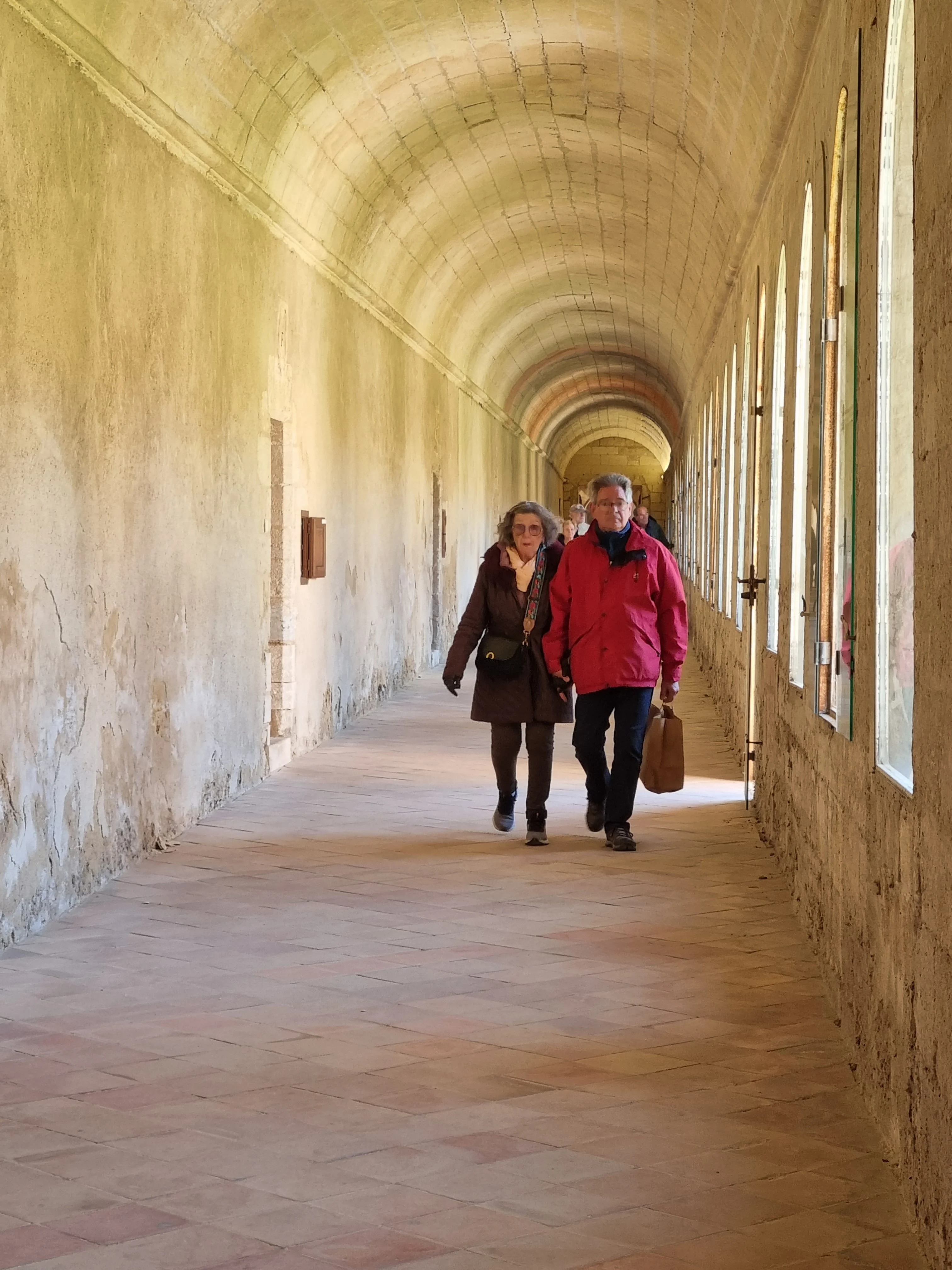 Chartreuse avignon 13 