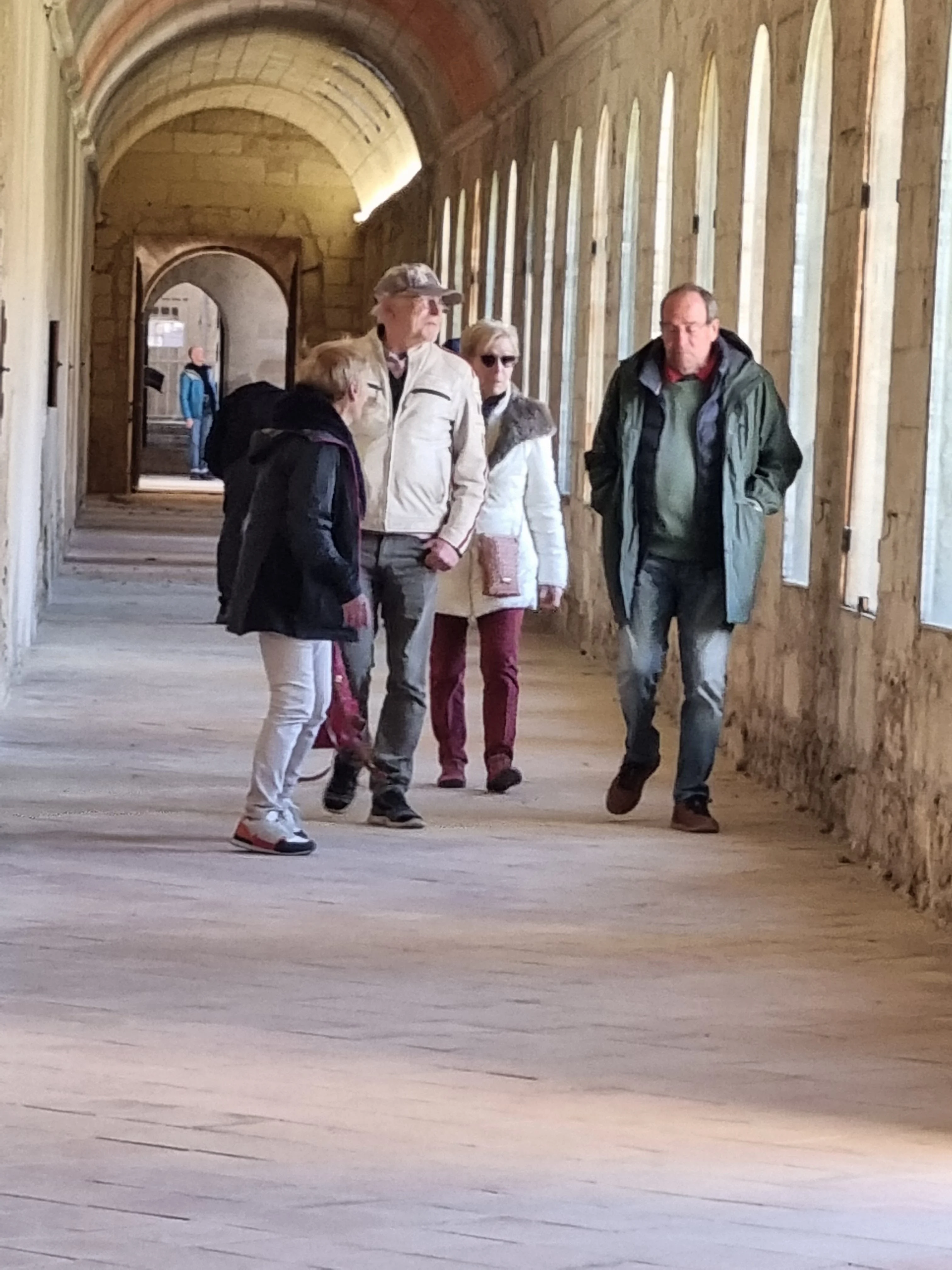 Chartreuse avignon 14 