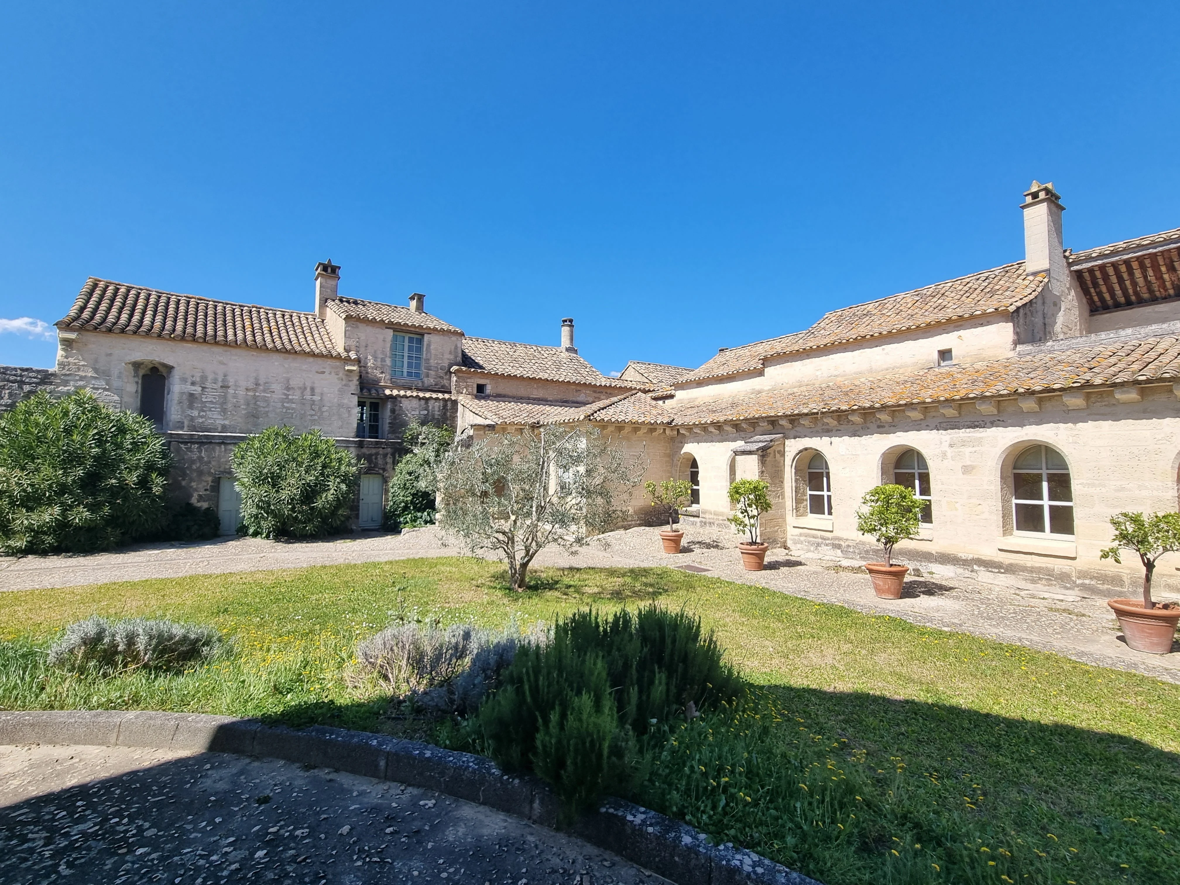 Chartreuse avignon 2 