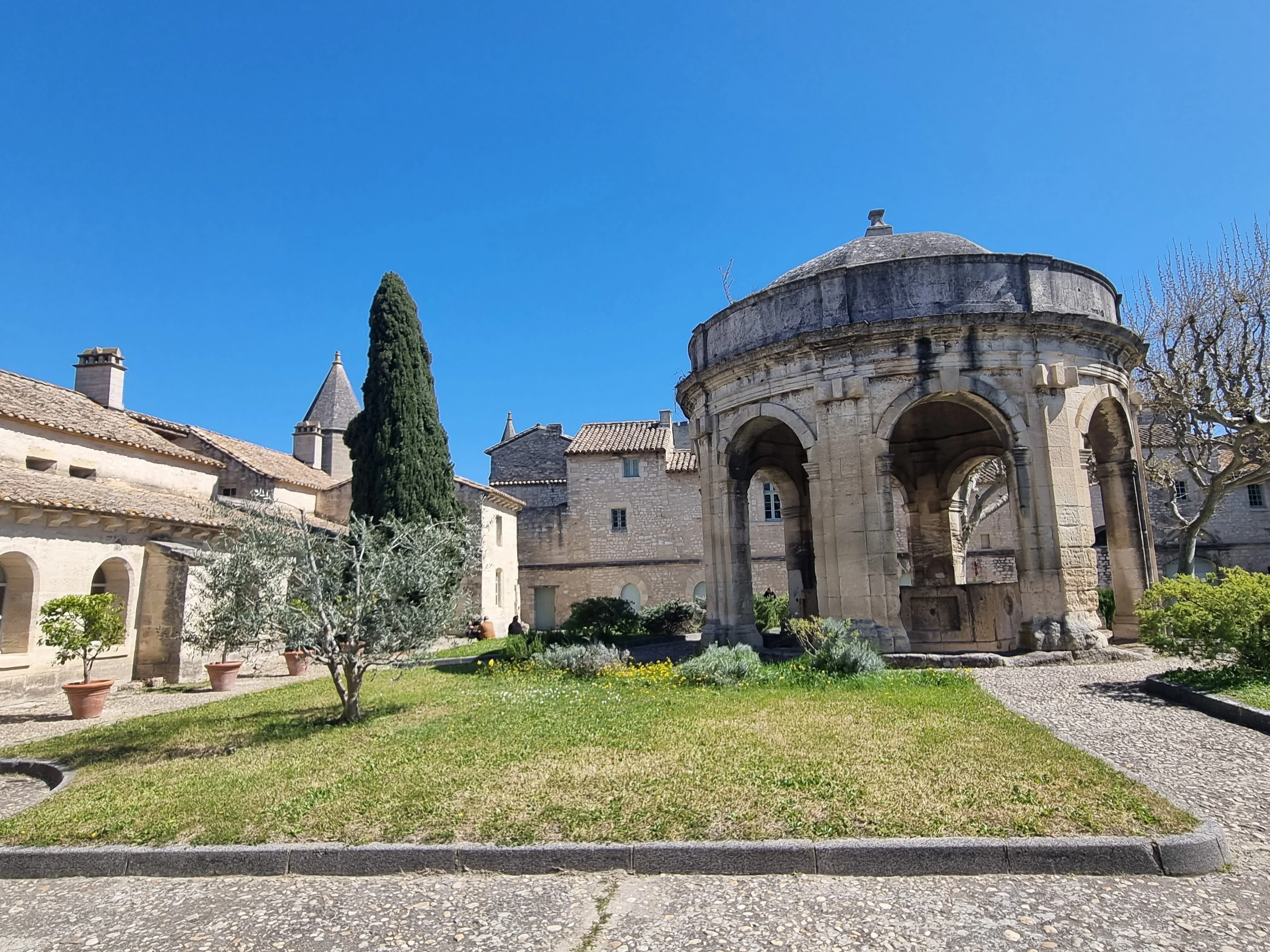 Chartreuse avignon 3 