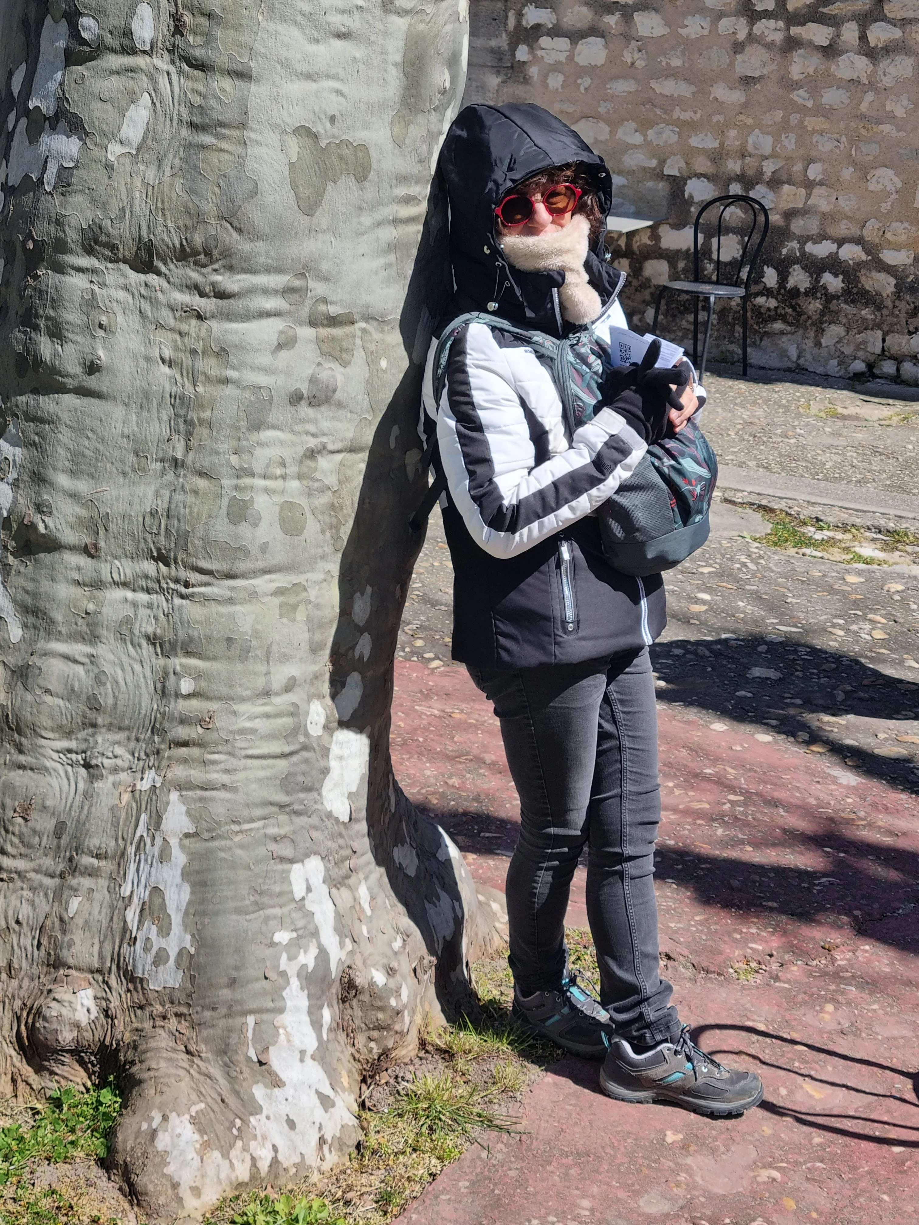 Chartreuse avignon 5 