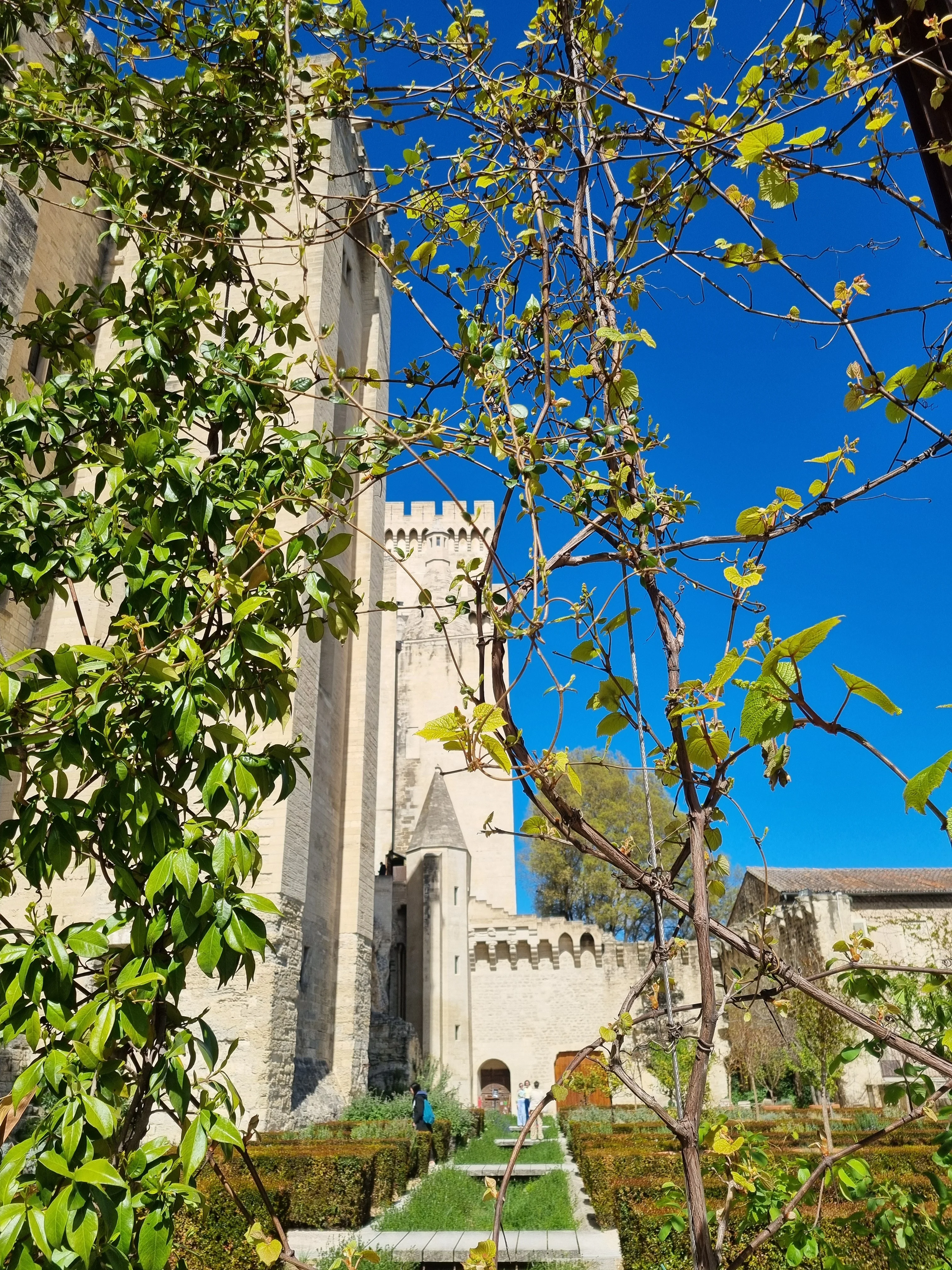 Palais des papes avignon 9 